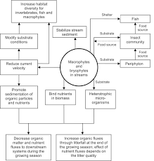 We did not find results for: Macrophytes And Bryophytes Sciencedirect