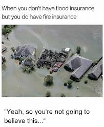How you can attend flood insurance meme with minimal. When You Don T Have Flood Insurance But You Do Have Fire Insurance Fire Meme On Me Me