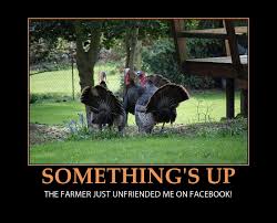 Let's start to see some dirth thanksgiving memes. Quotes Memes On Fb All Day Quotesgram