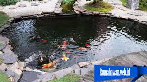 Kursi yang memanjang dibuat untuk bersantai juga. Cara Membuat Kolam Ikan Dengan Mudah Rumah Awan