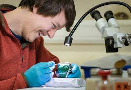 SCHOOL OF CONSERVATION