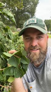 Always good to see homeowners making sure their yard isn’t part of the  problem!! #nativehabitatproject #conservation #tallowtree #popcorntree  #invasiveremoval #plantnative