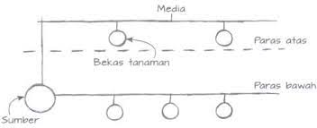 Dua kaedah penanaman secara fertigasi : Apakah Kelebihan Teknik Penyusunan Sistem Fertigasi Gegelang Berbanding Sistem Fertigasi J