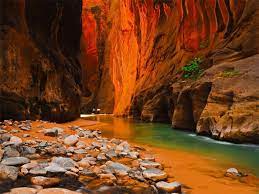 Maybe you would like to learn more about one of these? Daily Escape Zion National Park Iowa Girl Eats