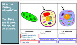 Maybe you would like to learn more about one of these? Plant Vs Animal Worksheet Teachers Pay Teachers