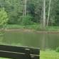 Amazing Adaptations at Warriors Path State Park