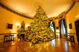 Maybe you would like to learn more about one of these? White House Christmas 2020 See Melania Trump S Holiday Decorations