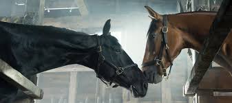 Une histoire d'amitié entre albert un jeune garçon et son cheval joey. Cheval De Guerre Celle Qui Bloggait