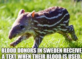 Jan 29, 2020 · vampire bats do more than just bite their prey—they also keep the other animal's blood from clotting. Introducing A New Series Facts You Won T Remember With Adorable Animals Album On Imgur