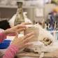 Clay Club with Anissa: A Monthly Workshop event in South Yarmouth, MA