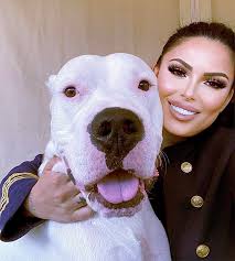 Dogo Argentino Rescue & Resources (DARR)