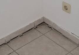 images?q=tbn:ANd9GcS_CexzqS8aDuffofLBlTXhIJAnuN09oebJ22monSa8tKrlvFsT