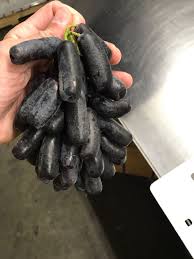 Check out all bestselling seeds & garden tools for affordable prices. Sweet Sapphire Grapes Fruit Carving Fruit For Diabetics Grape Vineyard