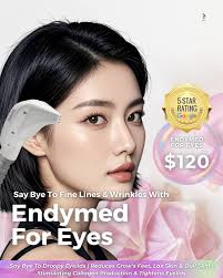 The Aesthetic Chapter