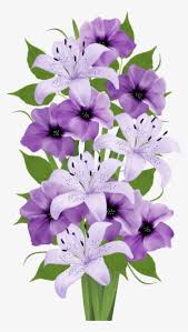 You will find flowers clipart this makes it easy to use them as a background with many different flowers, or on top of backgrounds of different colors, and on top of other kinds of clip art. Beautiful Clipart Flower Bouquet Pencil And In Color Full Hd Flowers Png Transparent Png 3577x6334 Free Download On Nicepng