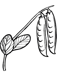 Pea with leaf coloring page. Coloring Pages Vegetables Peas Coloring Page