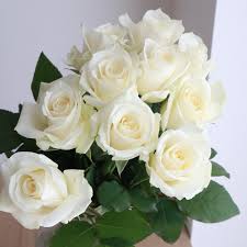 生花】バラ アバランシェ(白)【OT】 - 花材通販はなどんやアソシエ