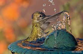 Check spelling or type a new query. Humming Along