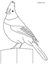 Coloring Page Template Printing Coloring Pages Fox Coloring Page Bird Coloring Pages