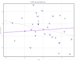 capital asset pricing model wikipedia