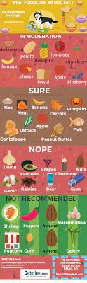 Understanding diabetes mellitus in dogs. Diabetic Dog Food Diabetic Dog Food Dog Food Recipes Natural Balance Dog Food