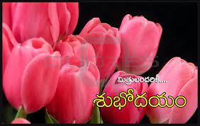 We did not find results for: Telugu Good Morning Quotes Wshes For Whatsapp Life Facebook Images Inspirational Thoughts Good Morning Quotes Morning Quotes Good Morning Inspirational Quotes
