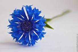 64c6814735 Ukrasheniya Vasilek N1665 Jpg 1024 690 Polymer Clay Flowers Bachelor Button Flowers Clay Flowers