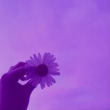 See more ideas about lavender aesthetic, purple, purple aesthetic. Flower Purple Image By