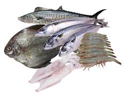 Gambar ikan laut diatas mungkin dapat kamu tiru. Portal Rasmi Nekmat