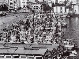 Un San Andres Muy Arbolado Moncho Gonzalez Cotelo A Coruna Fotos Antiguas Fotos