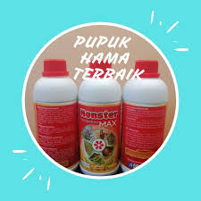 Hp Wa 082 220 228 118 Jual Obat Hama Rumba Di Pohuwato Harga Obat Hama Rayap Tanah Di Bone Bolango Grosir Obat Hama Sundep Di Gorontal Buah Kacang Buah Naga