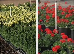 How to control the ph levels of your. Understanding The Difference Between Water Ph And Alkalinity Greenhouse Management