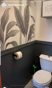 toilette repeinte en blanc et changement abattant tuyaux en noir comme le mur idee deco toilettes decoration toilettes idee toilettes