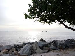 Berikut sambal paling enak pilihan cnnindonesia.com untuk disantap bersama ikan bakar. Pantai Remis Dan Medan Ikan Bakar Jeram