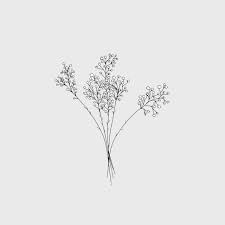Maybe you would like to learn more about one of these? Brandisher Danofthebastille Some Wildflowers Wildflower Drawing Flower Drawing Aesthetic Drawing