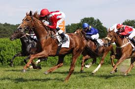 Check spelling or type a new query. Hassloch 01 08 2021 7 Rennen Deutscher Galopp
