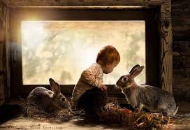 The latest tweets from @tv2nyhetene Photo Elena Shumilovas Denne Magiske Bildeserien Gar Verden Rundt Tv2 No Dyr