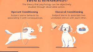 What Is Behaviorism In Psychology Definition Theories