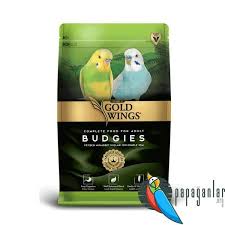 Gold Wings 2020 Papaganlar Hayvanlar Papagan