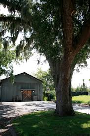 We did not find results for: Screaming Peacock Now Roasting Colorful Coffees In St Augustinedaily Coffee News By Roast Magazine