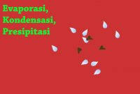 1 bab ii pembahasan 2.1 definisi evaporasi evaporasi adalah salah satu komponen siklus hidrologi, yaitu peristiwa menguapnya air dari permukaan air, tanah, dan bentuk permukaan bukan. Evaporasi Adalah Ilmu Geografi