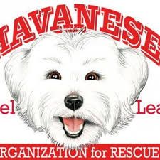 Fundraiser for Kathi Quigley by Carly Mee : Help HALO Rescue Puppy Mill Dogs