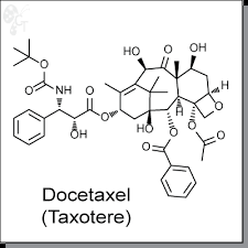 Image result for Docetaxel