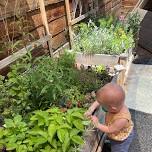Garden Playtime Discovery Day!