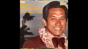 その他 AOR Hawaii 45RPM Nohelani , Danny Couch AOR Hawaii 45RPM Nohelani , Danny  Couch レコード