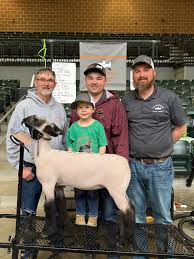 Lot 57. Market Mamma Sale in Louisville. 708 x Sudden Impact