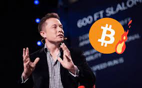 Bitcoin is almost as bs as fiat money. Tesla And Elon Musk Buy Bitcoin This Is End Game Now By Isaiah Mccall Yard Couch Medium