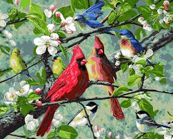 Finishing the painting in a professional manner. Birds In The Branches Flowers 16 X 20 Inch Paint By Numbers With Frame Paint By Numbers Framed New Paint By Numbers For Adults Beginner Kids Art Supplies Home