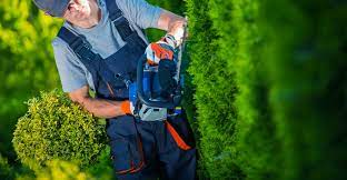 Check spelling or type a new query. Landscaper Questions You Should Ask Before Hiring