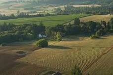 Celebrate Elton Vineyard with Betty O'Brien